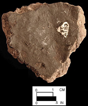 Wolfe Neck net-impressed body sherd (interior surface) from site 18CE114/26.